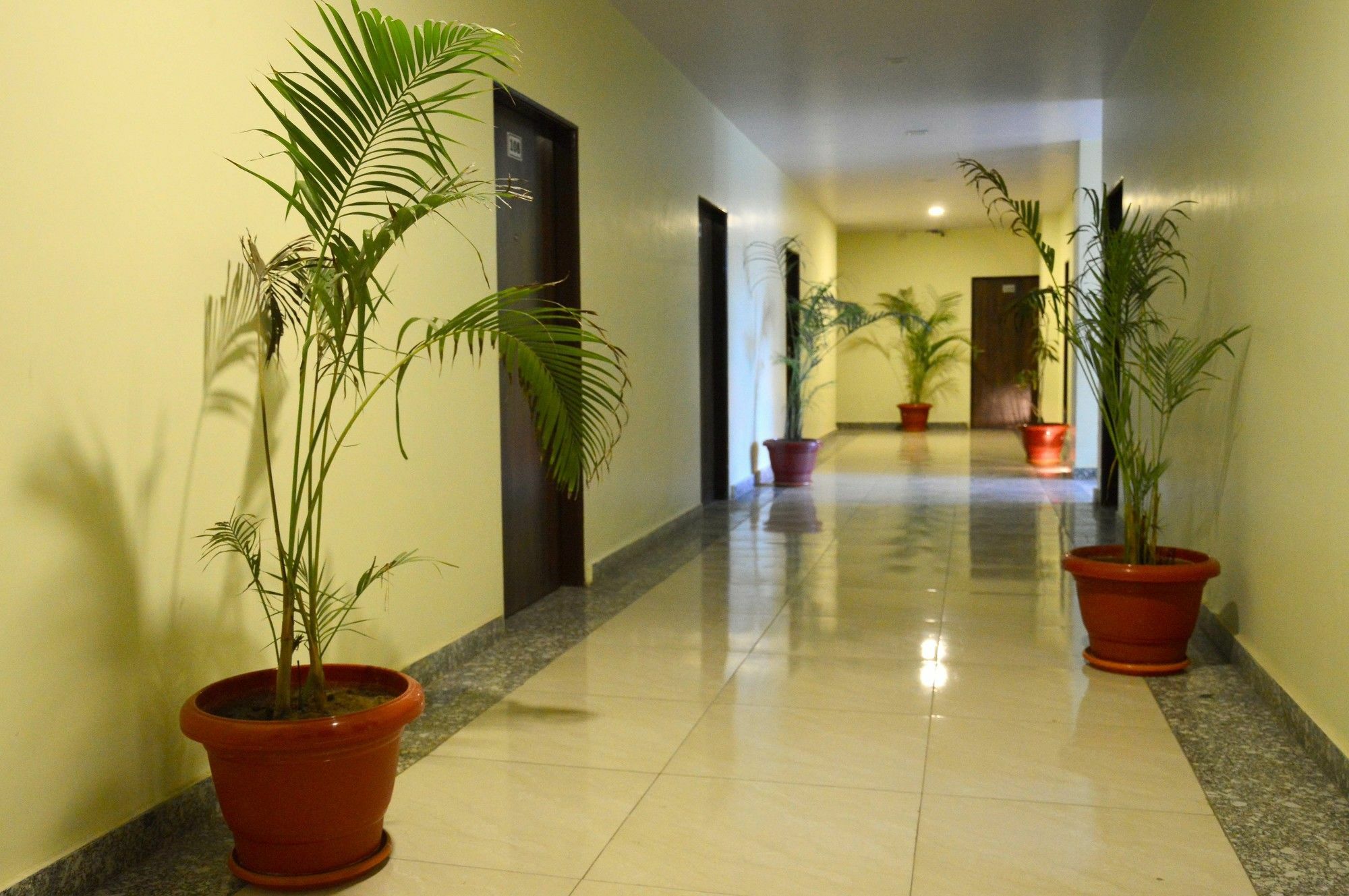 Oyo 6697 Hotel Green Lemon Jaipur Luaran gambar